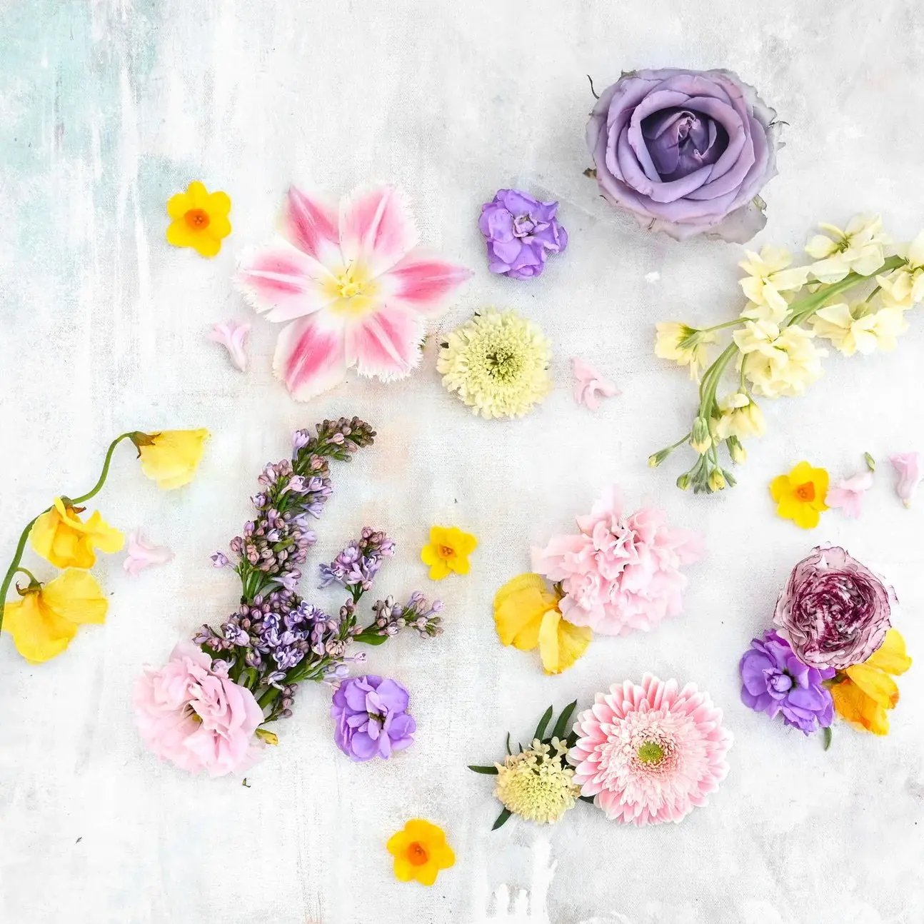 Boutonniere flowerandtwine