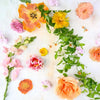 Boutonniere flowerandtwine