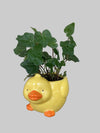 4” Foliage Character