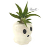 Add On - Whimsical Airplant Greetings