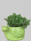 4” Foliage Character