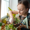 Dish Garden