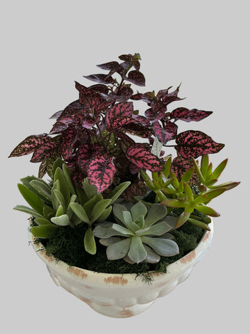Succulent Garden