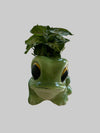 4” Character Plant