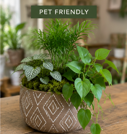 The Living Garden Gift