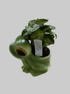 4” Character Plant