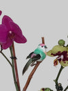 Clip on  Bird