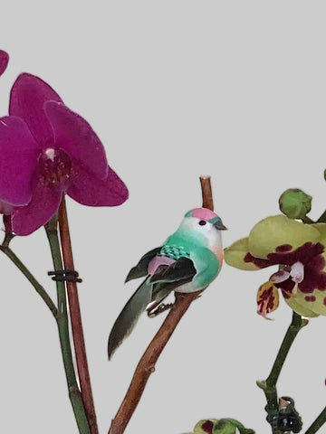 Clip on  Bird