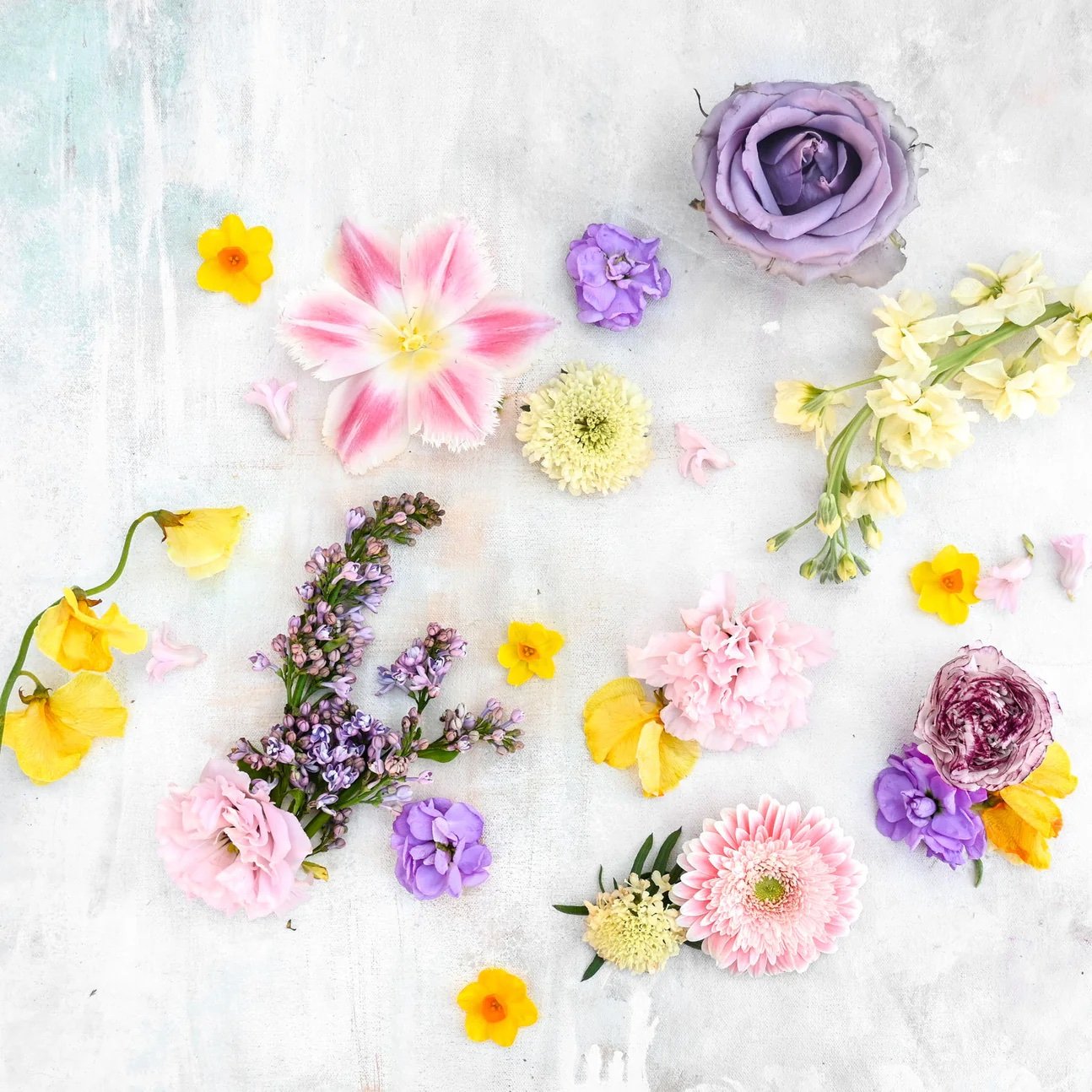 Signature F&T Arrangement