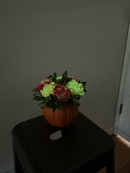 Glow-in-the-Dark Pumpkin Creations – A Kid-Friendly Workshop - October 18, 10am, 11am, 12pm, and 1pm