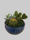 Desert Garden