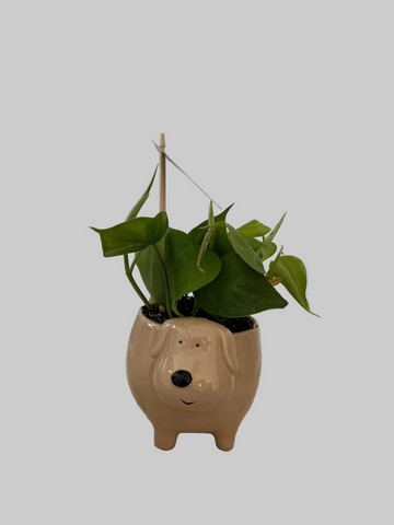 Foliage Dog Character