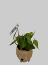Foliage Dog Character