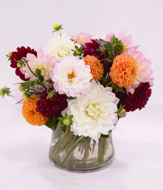 Dahlia Delight Arrangement - LOCALLY GROWN IN CT!!!