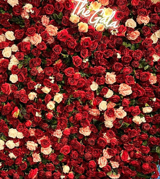 A wall of red and peach roses.