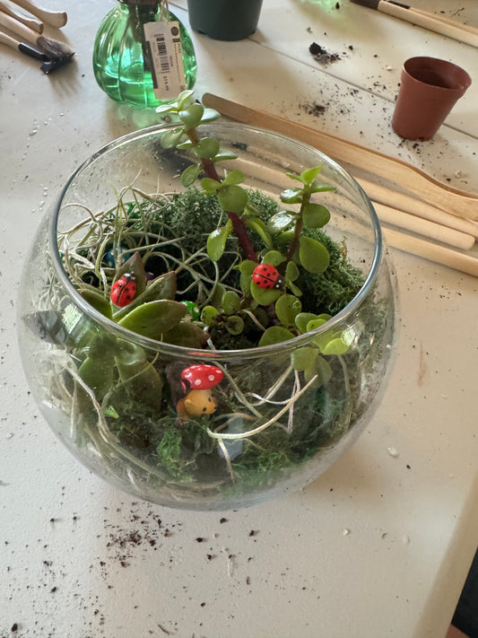 DIY Terrarium Session - On Your Own Time!