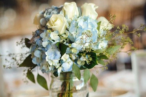 Hydrangea Happy Hour! - Image 1