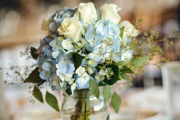 Hydrangea Happy Hour!