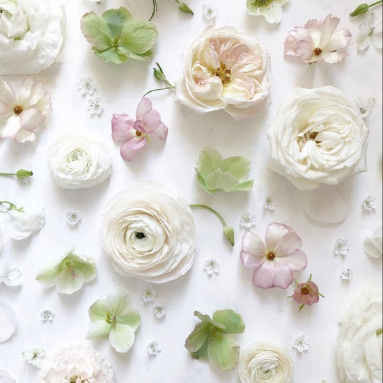 Elegant neutrals color pallet