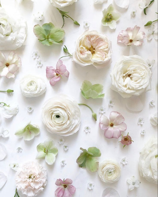 Elegant neutrals color pallet