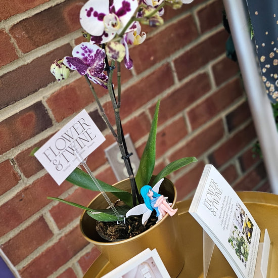 Orchid Private Shopping Experience - Image 1