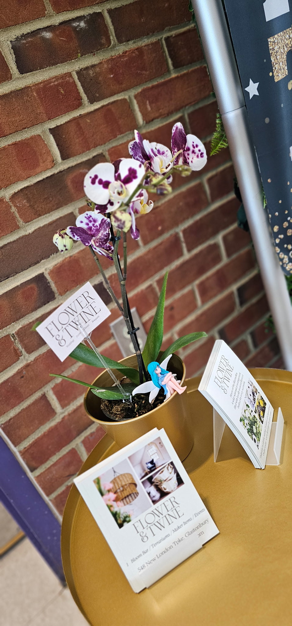 Orchid Private Shopping Experience - Image 1