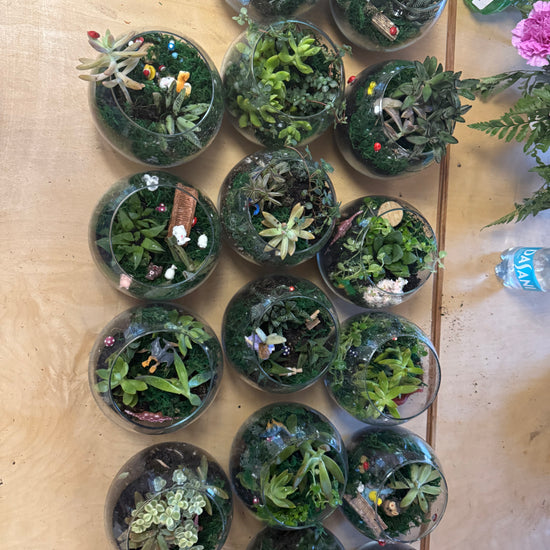 Private Terranium Party - Image 1