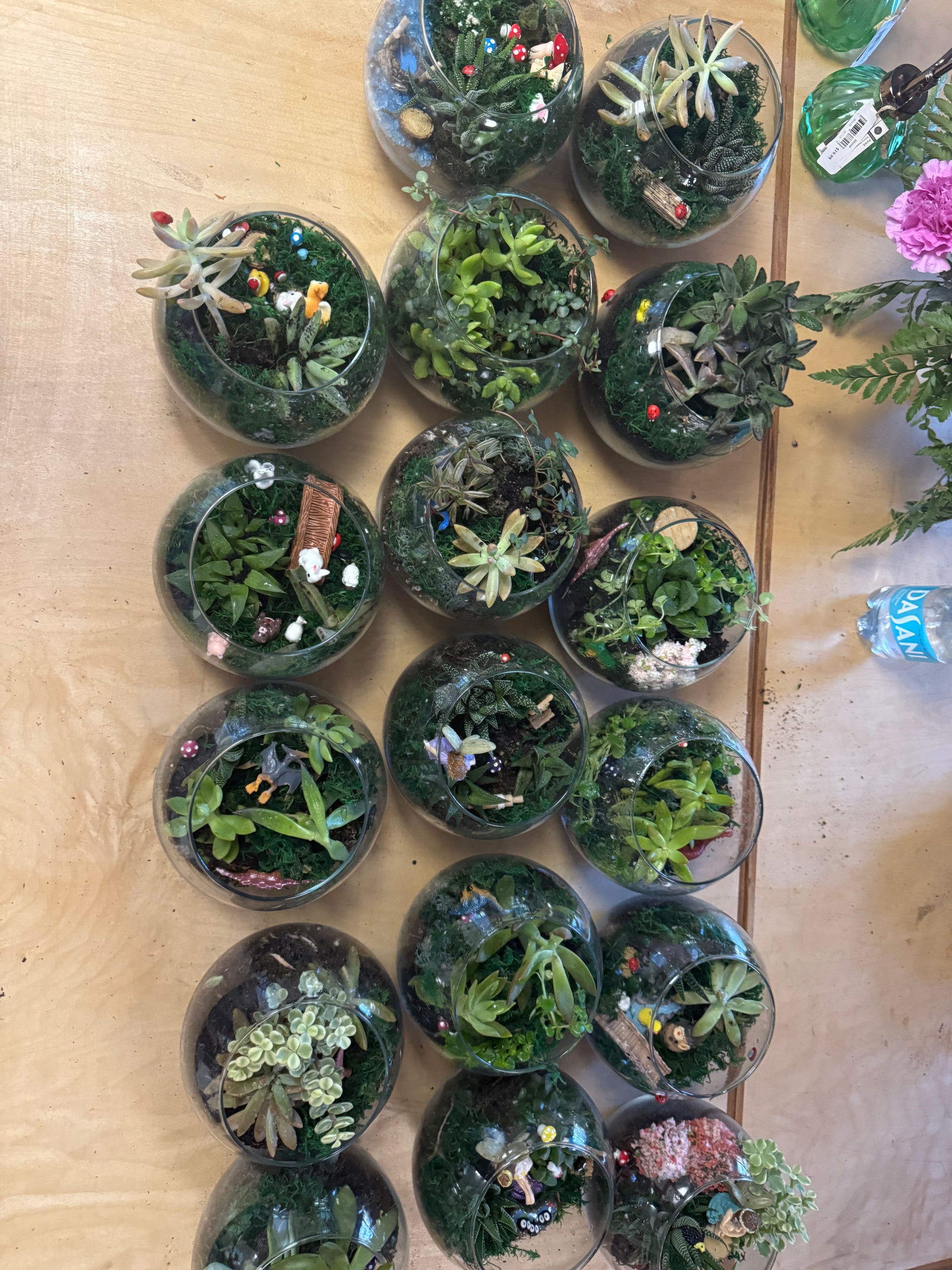 Private Terranium Party - Image 1