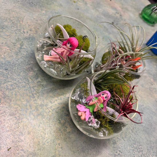 Private Terranium Party - Image 2