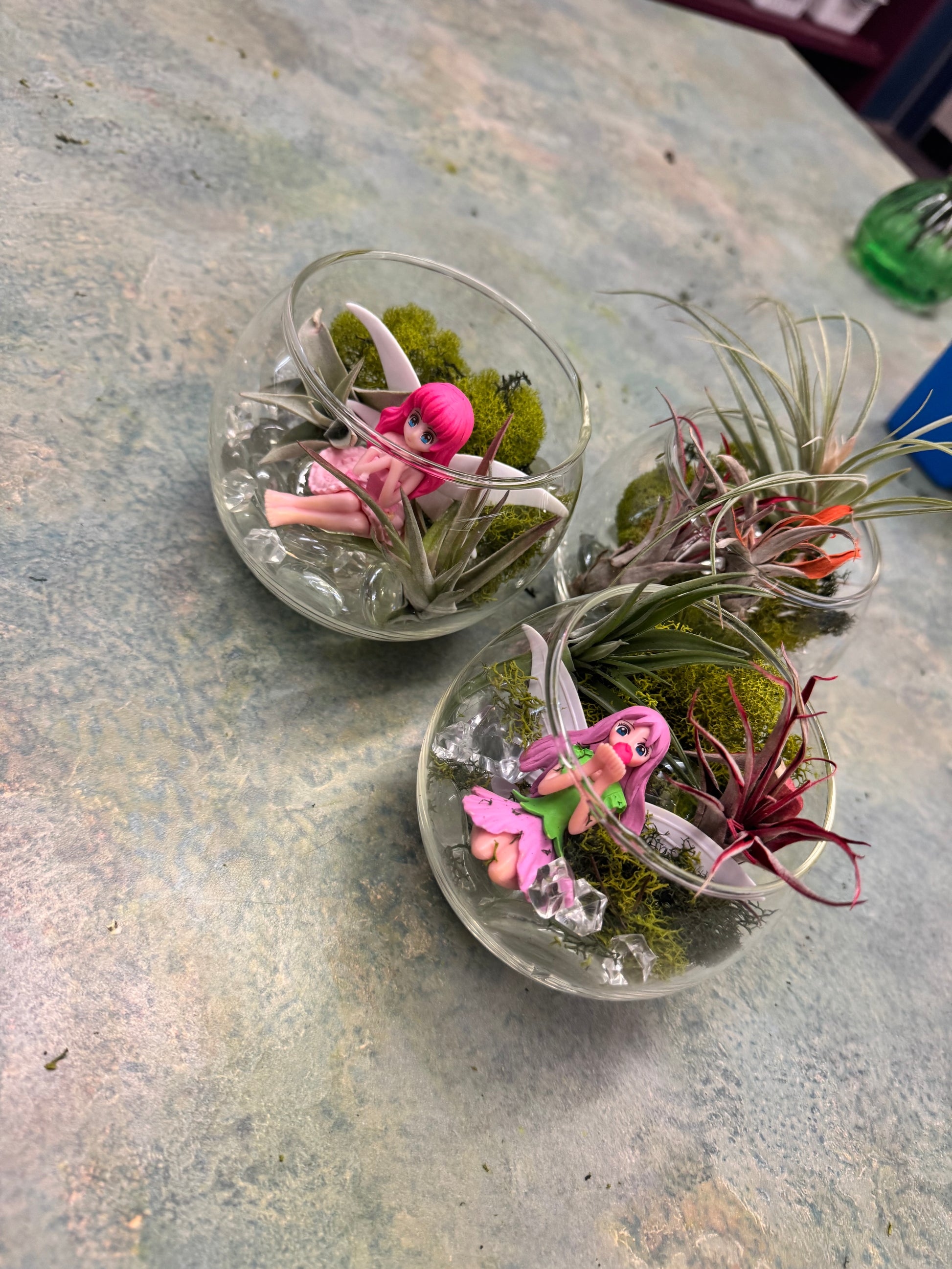 Private Terranium Party - Image 2