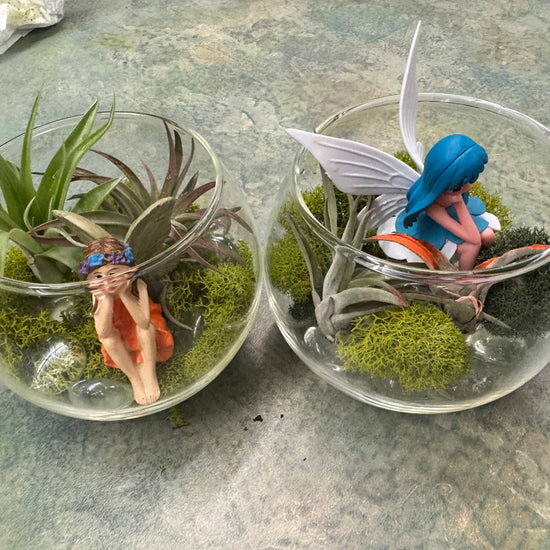 Private Terranium Party - Image 4