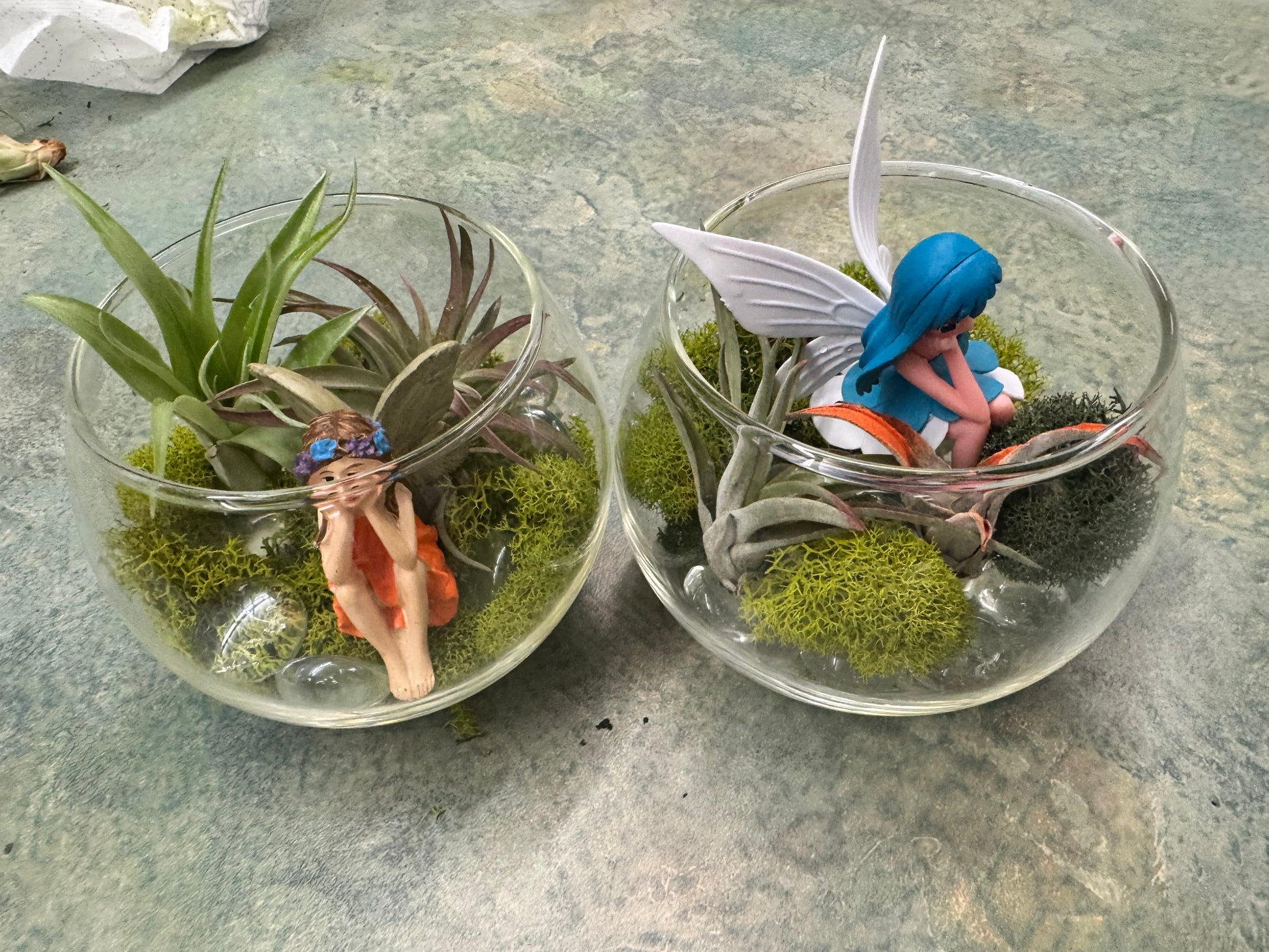 Private Terranium Party - Image 4