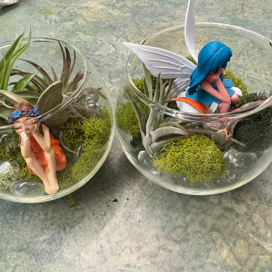 Private Terranium Party - Image 5