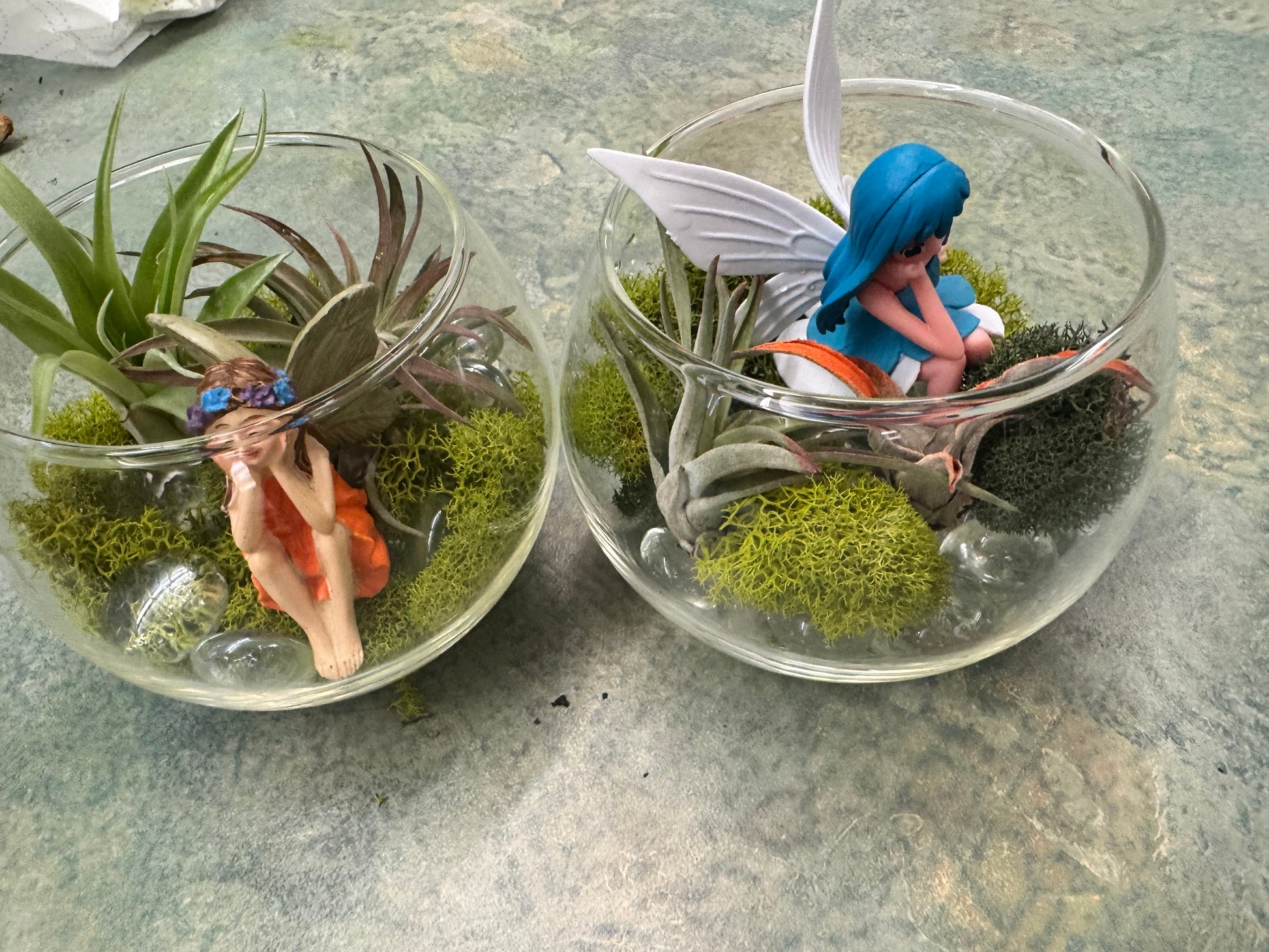 Private Terranium Party - Image 5