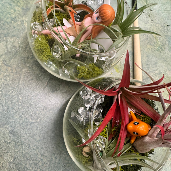 Private Terranium Party - Image 6