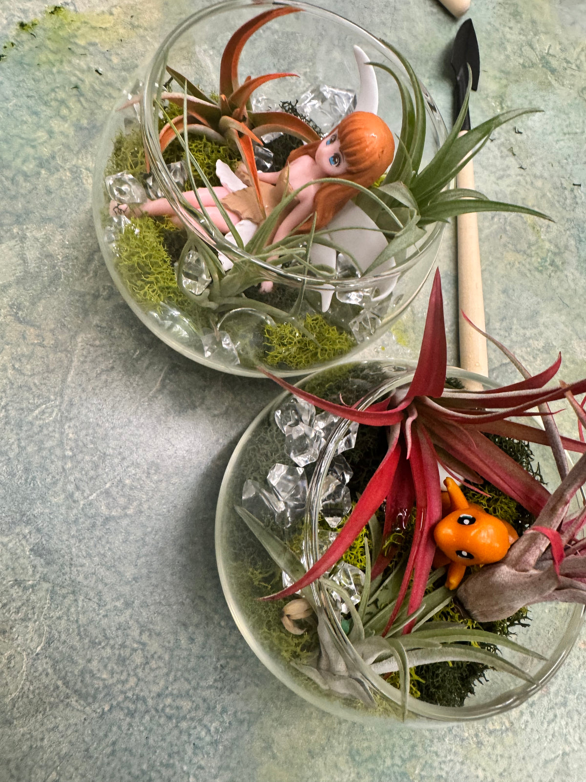 Private Terranium Party - Image 6