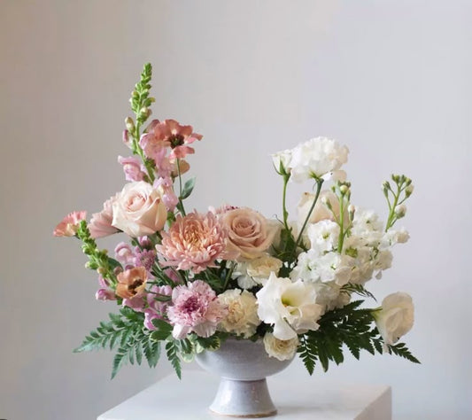 Statement / Welcome Arrangement