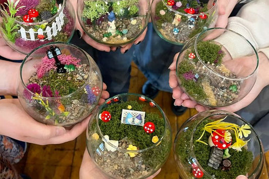 Terrarium Private Party